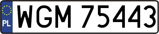 WGM75443