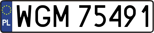 WGM75491