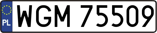 WGM75509