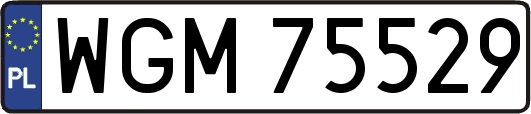 WGM75529