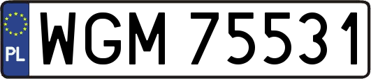 WGM75531