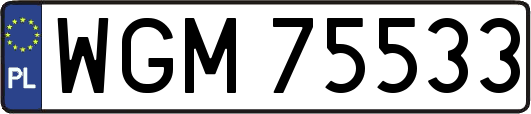 WGM75533