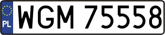 WGM75558