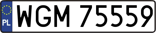 WGM75559