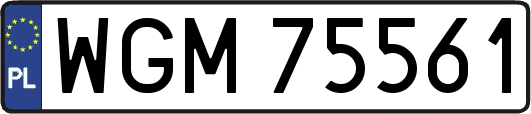 WGM75561