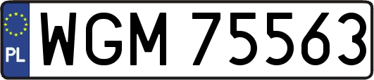 WGM75563