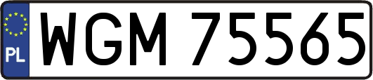 WGM75565