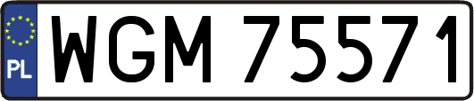 WGM75571
