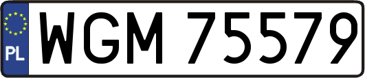 WGM75579