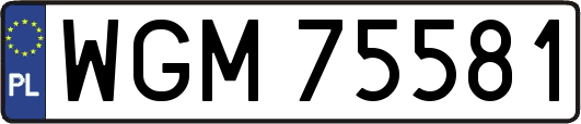 WGM75581