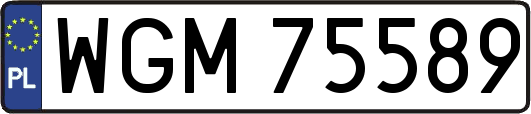 WGM75589