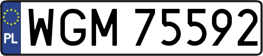 WGM75592