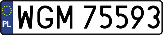WGM75593