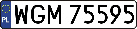 WGM75595