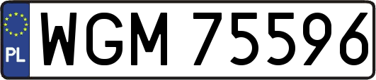 WGM75596