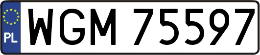 WGM75597