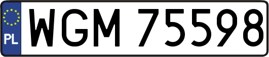 WGM75598