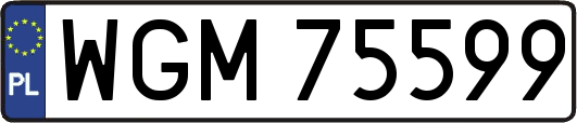 WGM75599