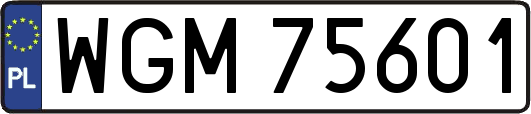 WGM75601