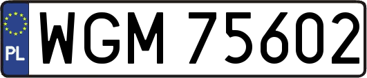 WGM75602