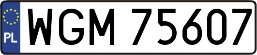 WGM75607