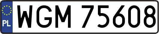 WGM75608