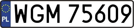 WGM75609