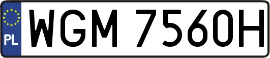 WGM7560H