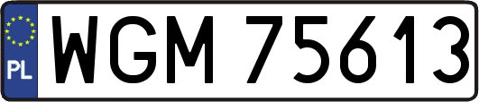 WGM75613