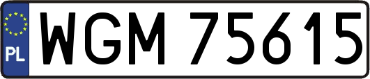 WGM75615