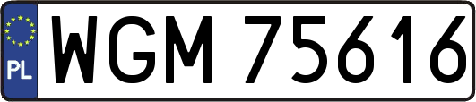 WGM75616
