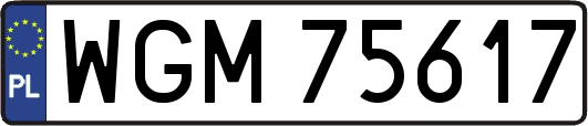 WGM75617