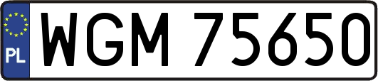 WGM75650