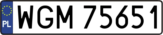 WGM75651