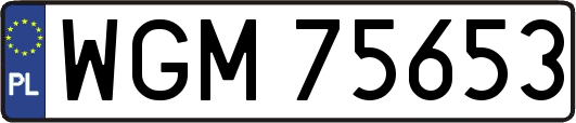 WGM75653
