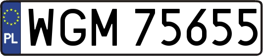 WGM75655