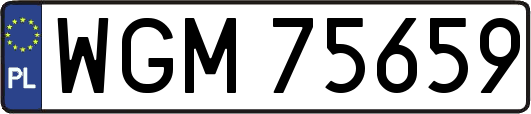 WGM75659