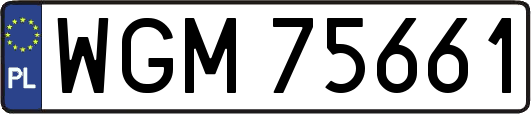 WGM75661