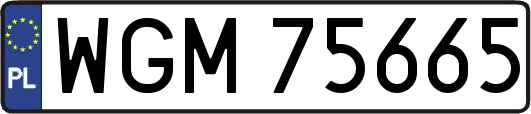 WGM75665