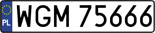 WGM75666