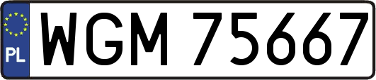 WGM75667