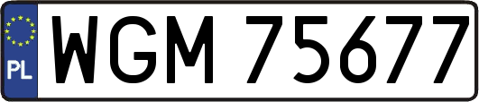 WGM75677