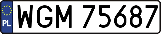 WGM75687
