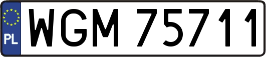WGM75711