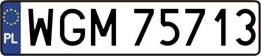 WGM75713