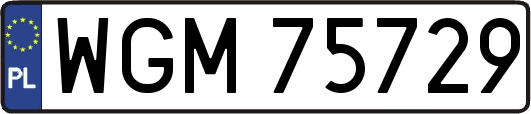WGM75729