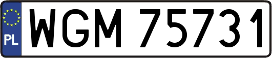 WGM75731