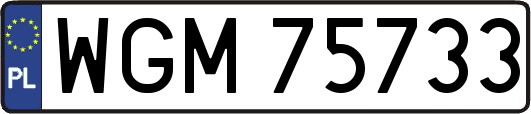 WGM75733