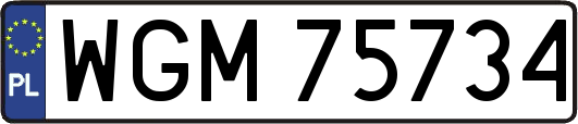 WGM75734