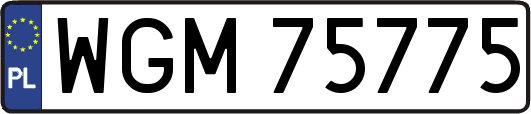 WGM75775
